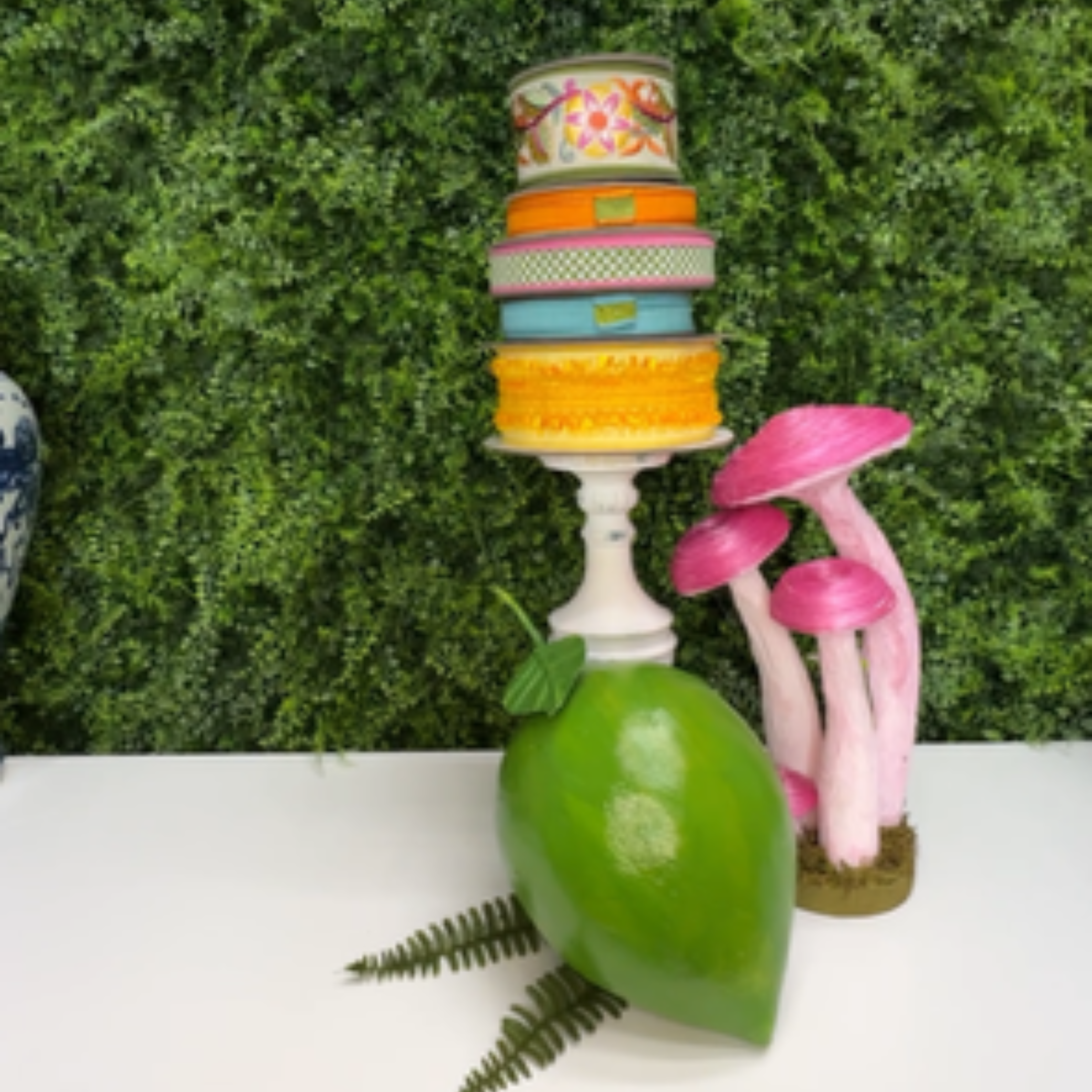 4.1.2026 Lime Sundrenched