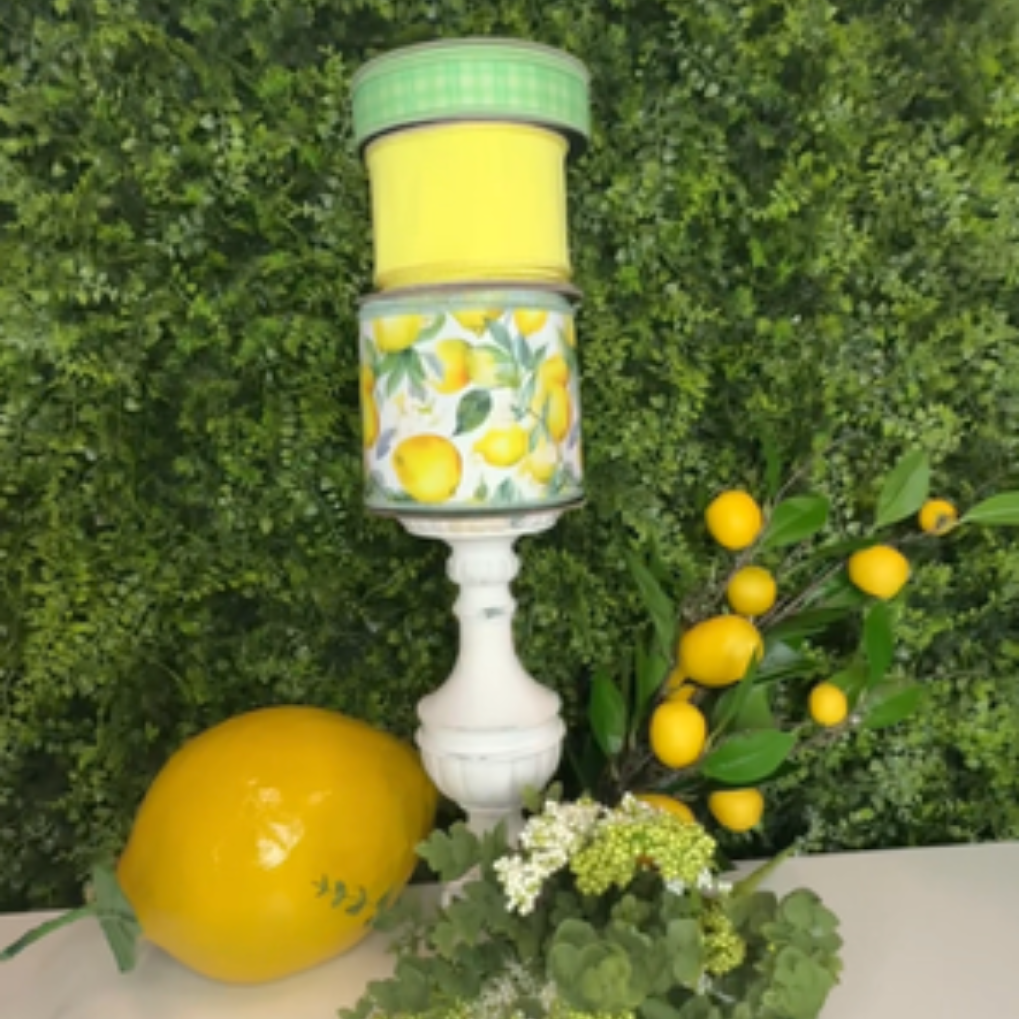 3.10.2026 Lemon