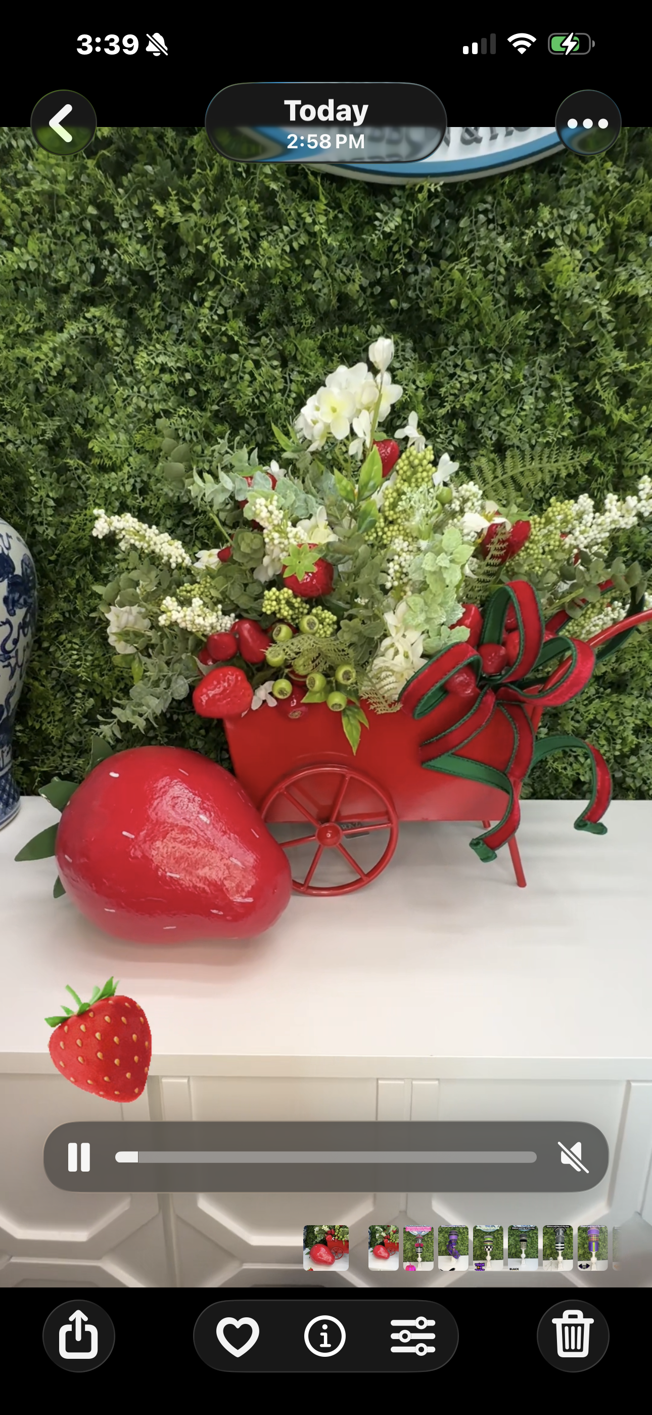 Strawberry Scalloped Wagon