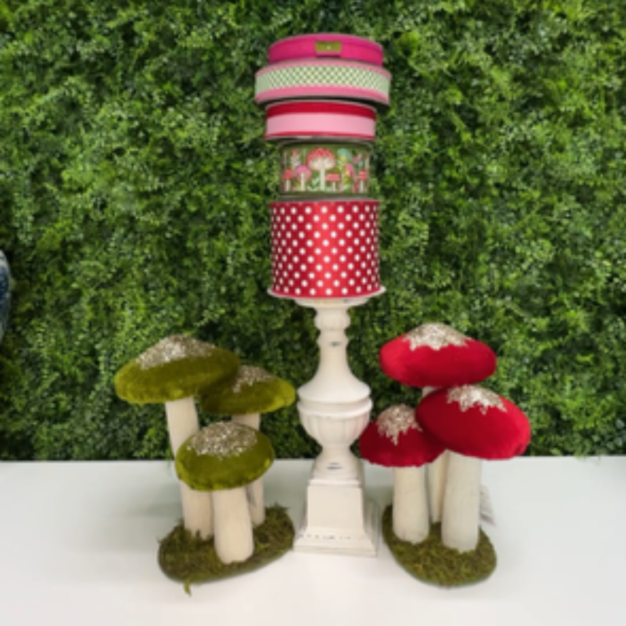 4.9.2026 Polka Dot Mushroom