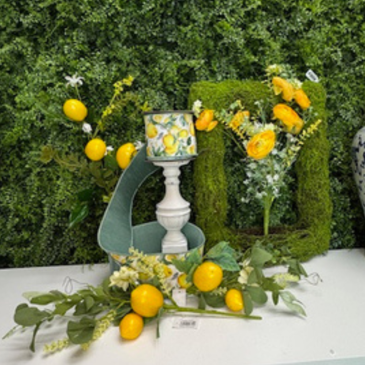 Lemon Grove Edition Bundle