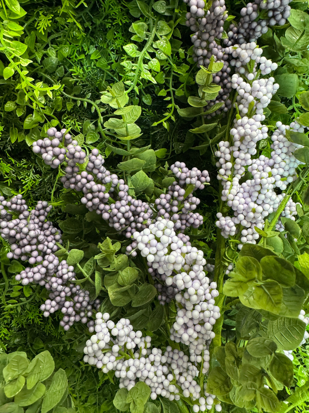 20" Purple Heather Eucalyptus Bush