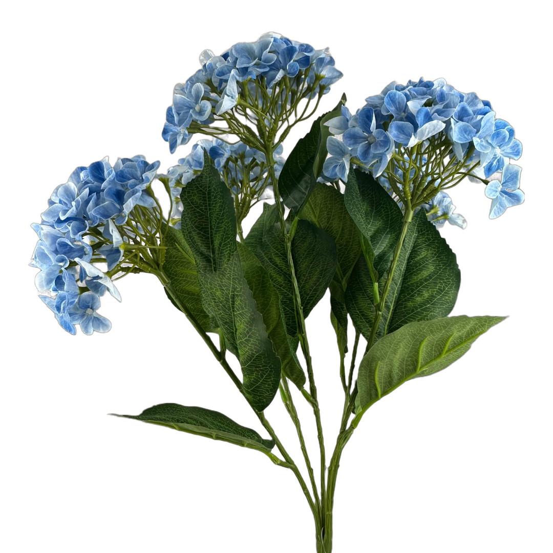 23" Blue Hydrangea Bush