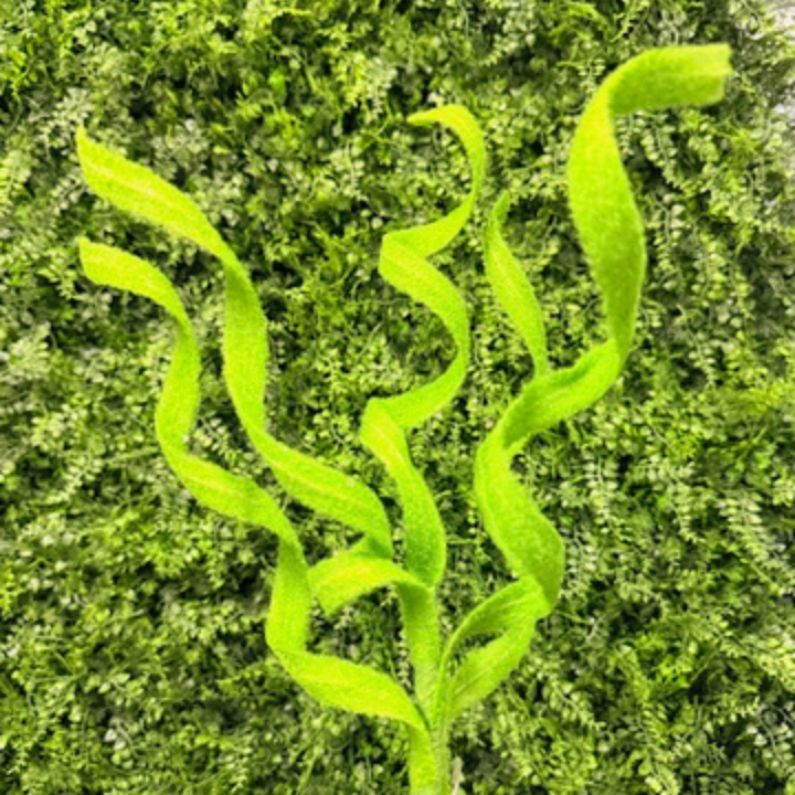 Regency 29" Green Sugared Curled Grass Spray