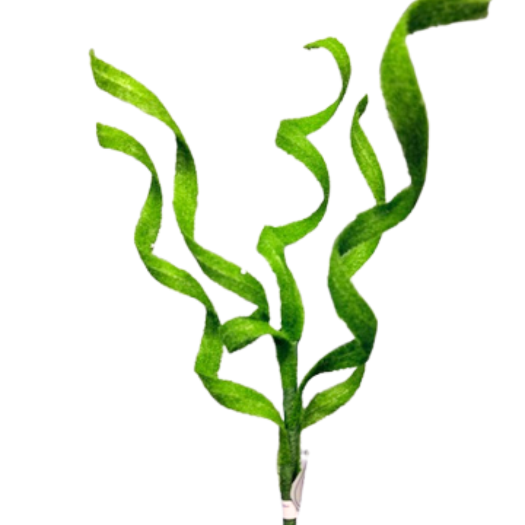 Regency 29" Green Sugared Curled Grass Spray