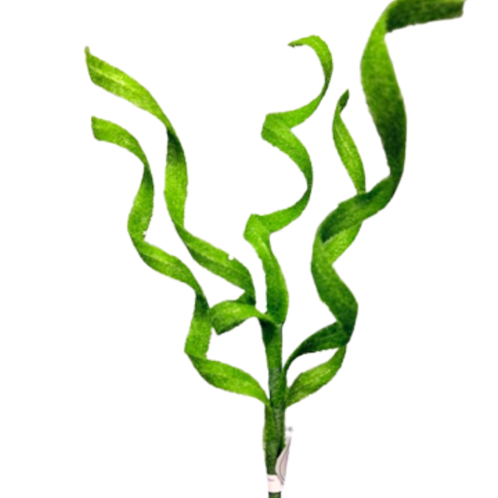 Regency 29" Green Sugared Curled Grass Spray