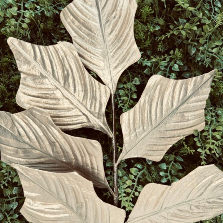 Farrisilk 26" Champagne Gold Poinsettia Leaves