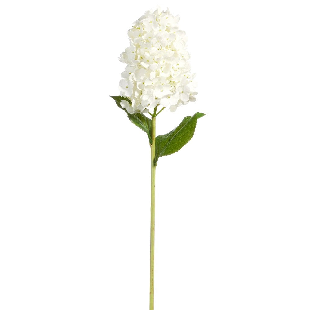 White flower with green leaves on a white background