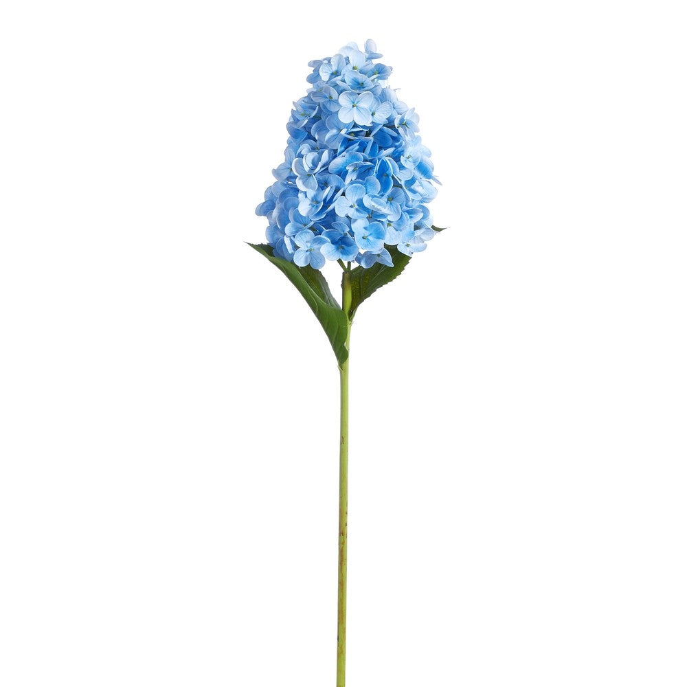 Blue hydrangea flower on a white background