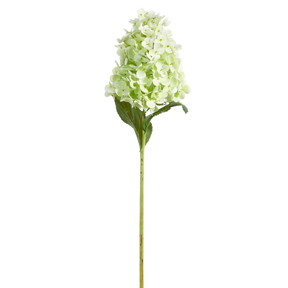 Artificial green hydrangea flower stem on a white background