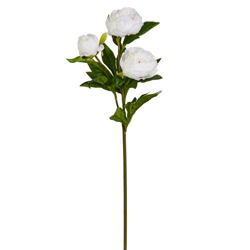 Artificial flower stem with white flowers on a white background