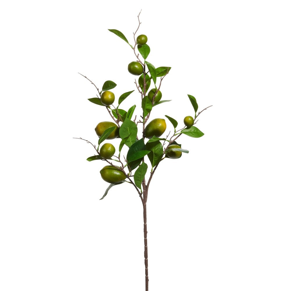 Artificial lime tree branch with green lemons on a white background