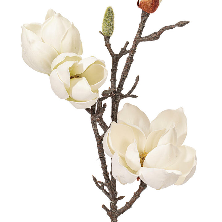 Set of 2 Vickerman 29 inch artificial white magnolia flower bud sprays with realistic blooms, textured buds and natural-looking brown branches.