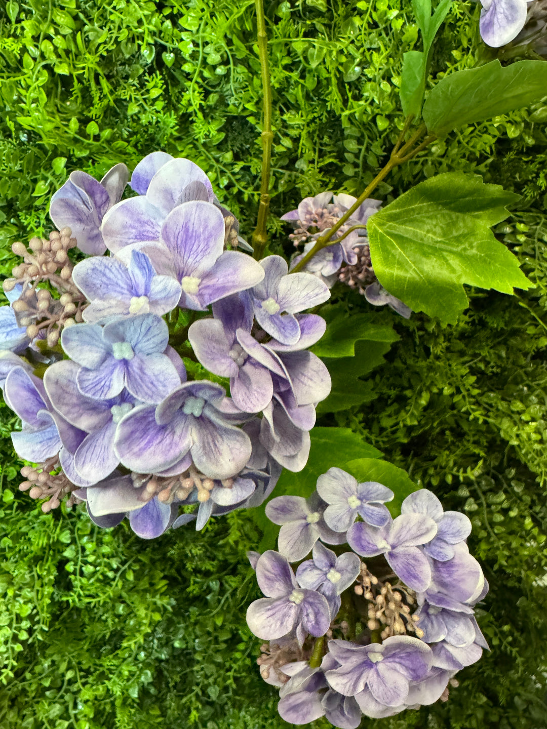 Regency 37" Lavender Snowball Hydrangea