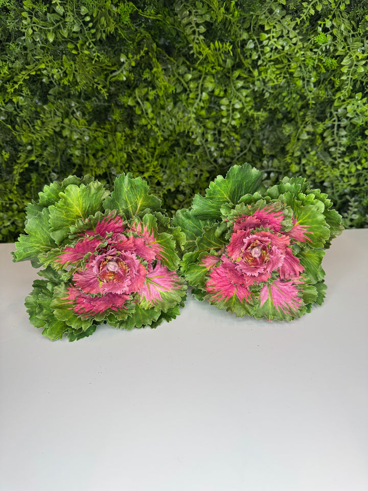 8" Pink and Green Kale - set of 2