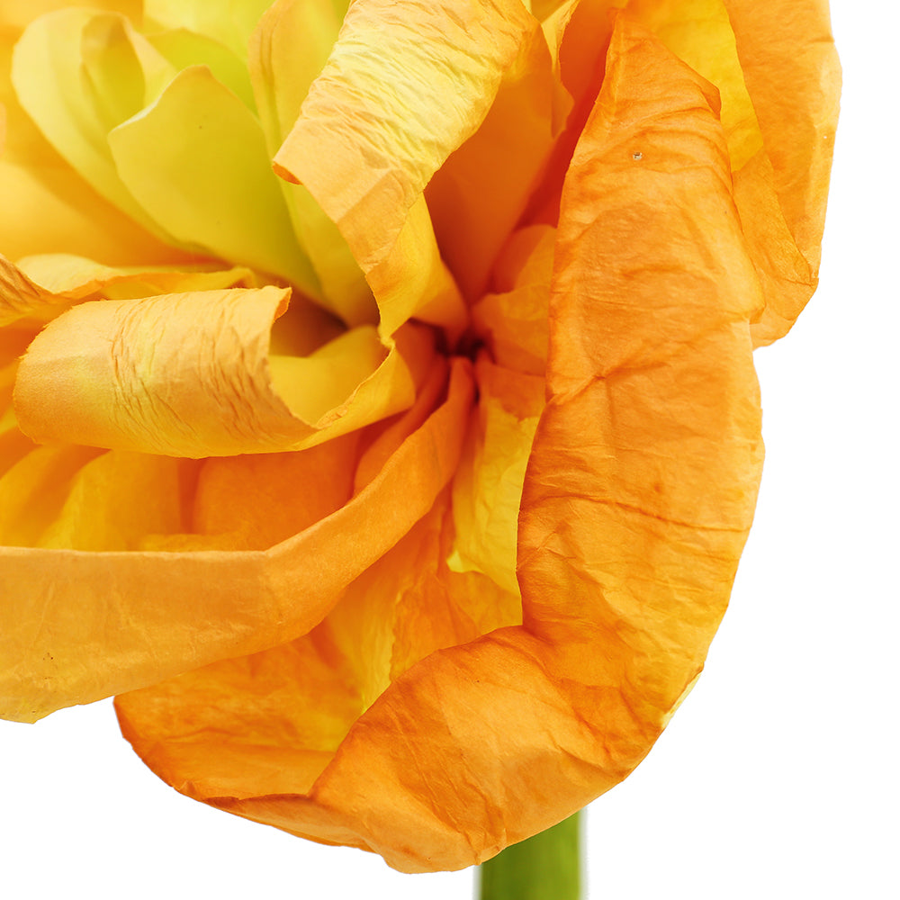 Yellow with Orange Crepe Paper Flower