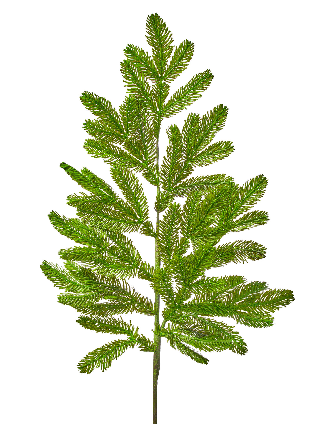 Regency 36 inch Real Touch Noble Fir evergreen spray with realistic green branches for Christmas trees, wreaths, garlands and holiday arrangements.