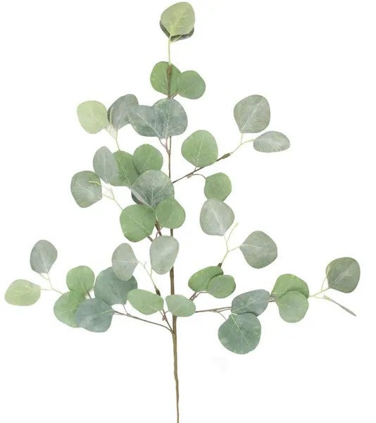 Artificial eucalyptus branch on a white background