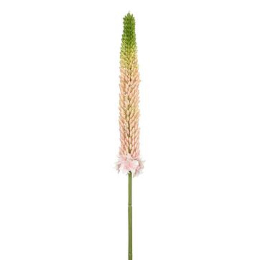 33" Pink and Green Foxtail Lily Spray