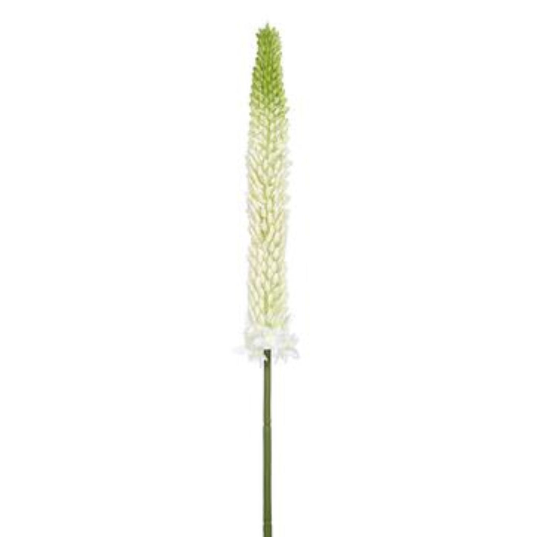 White and green foxtail lily spray