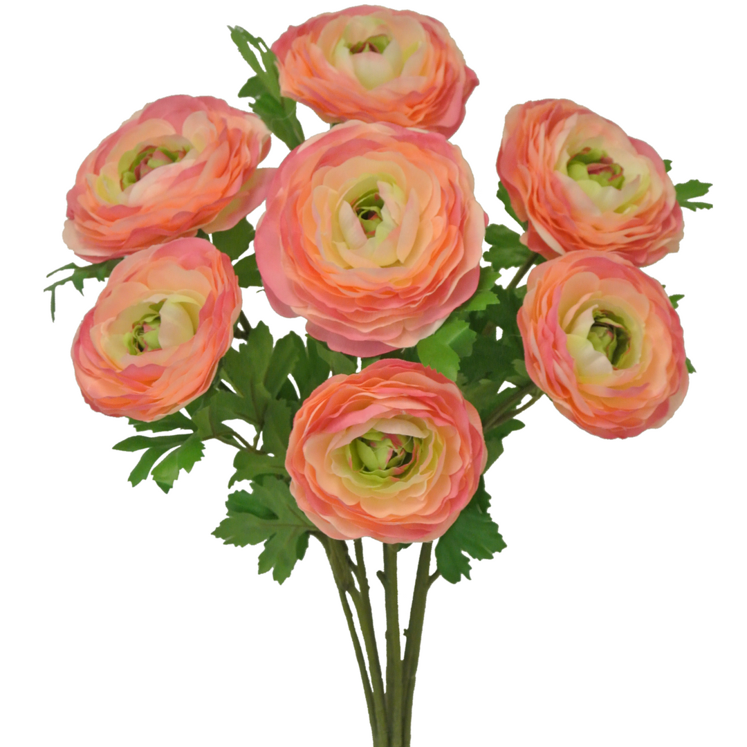 21" Pink with yellow and green Ranunculus Bush x 7