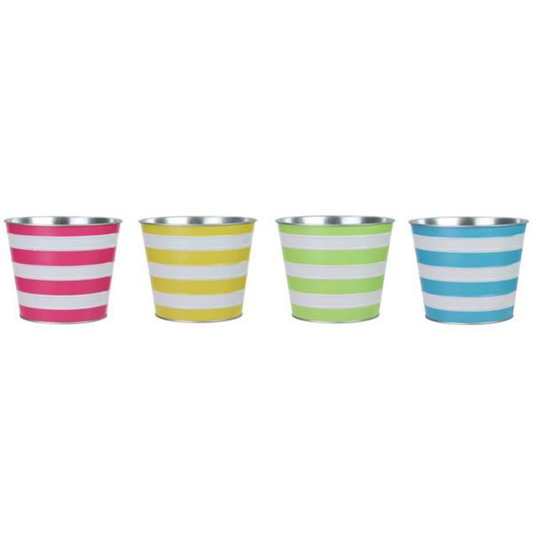 5.5" Embossed Stripe Pot - choice of one color