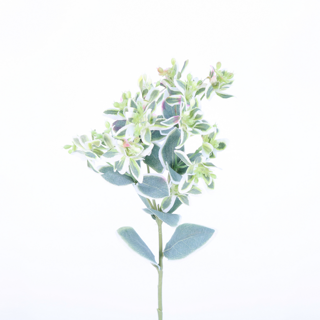 19" Euphorbia Spray