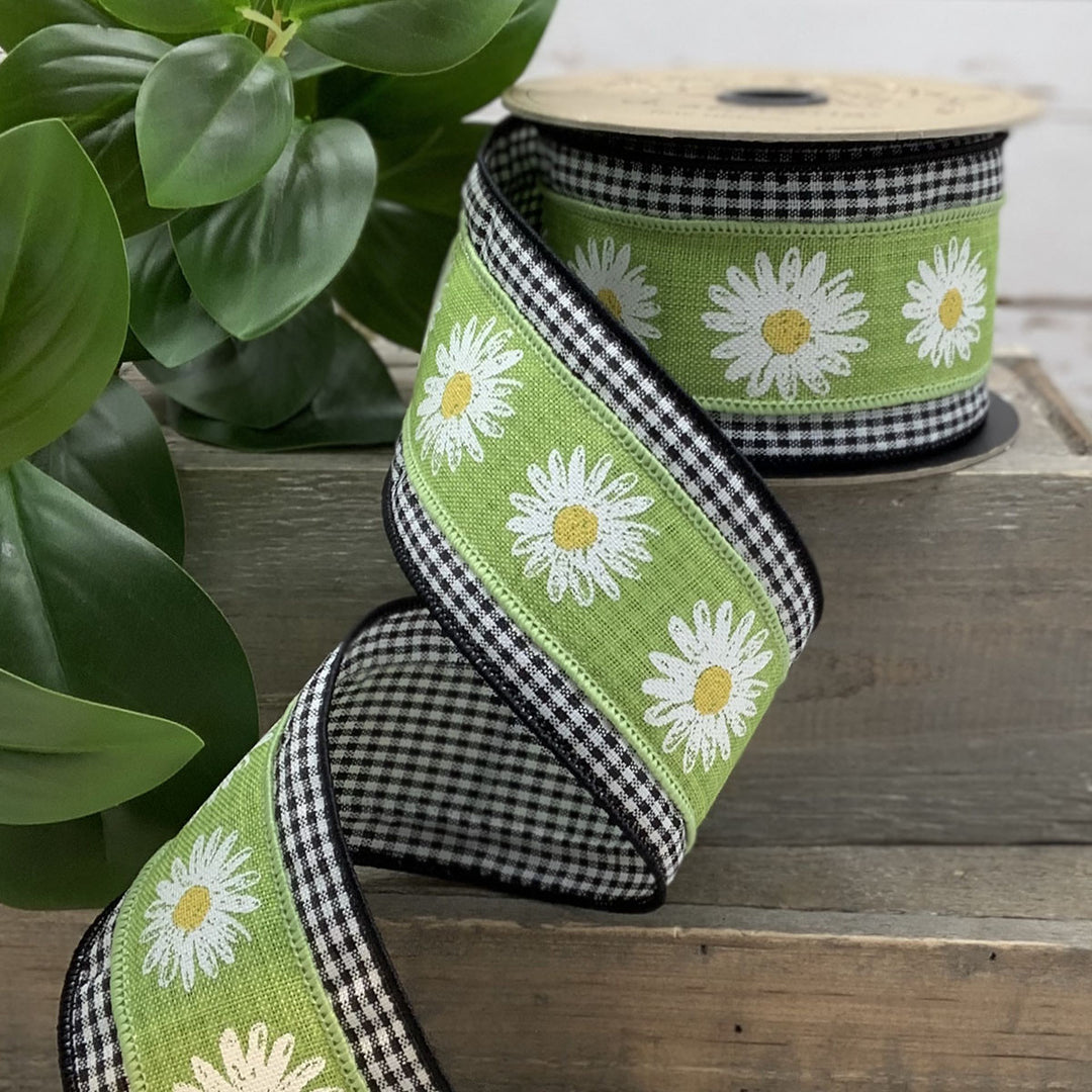 d. stevens 2.5" x 10 YD Faux Dupion Daisy with Gingham Edge in Green/White/Black Wired Ribbon