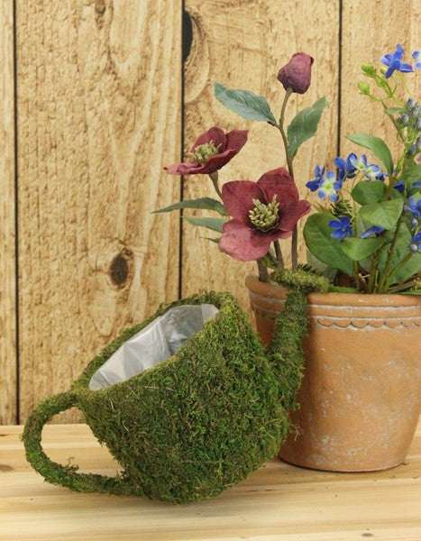 12.75" Moss Watering Can