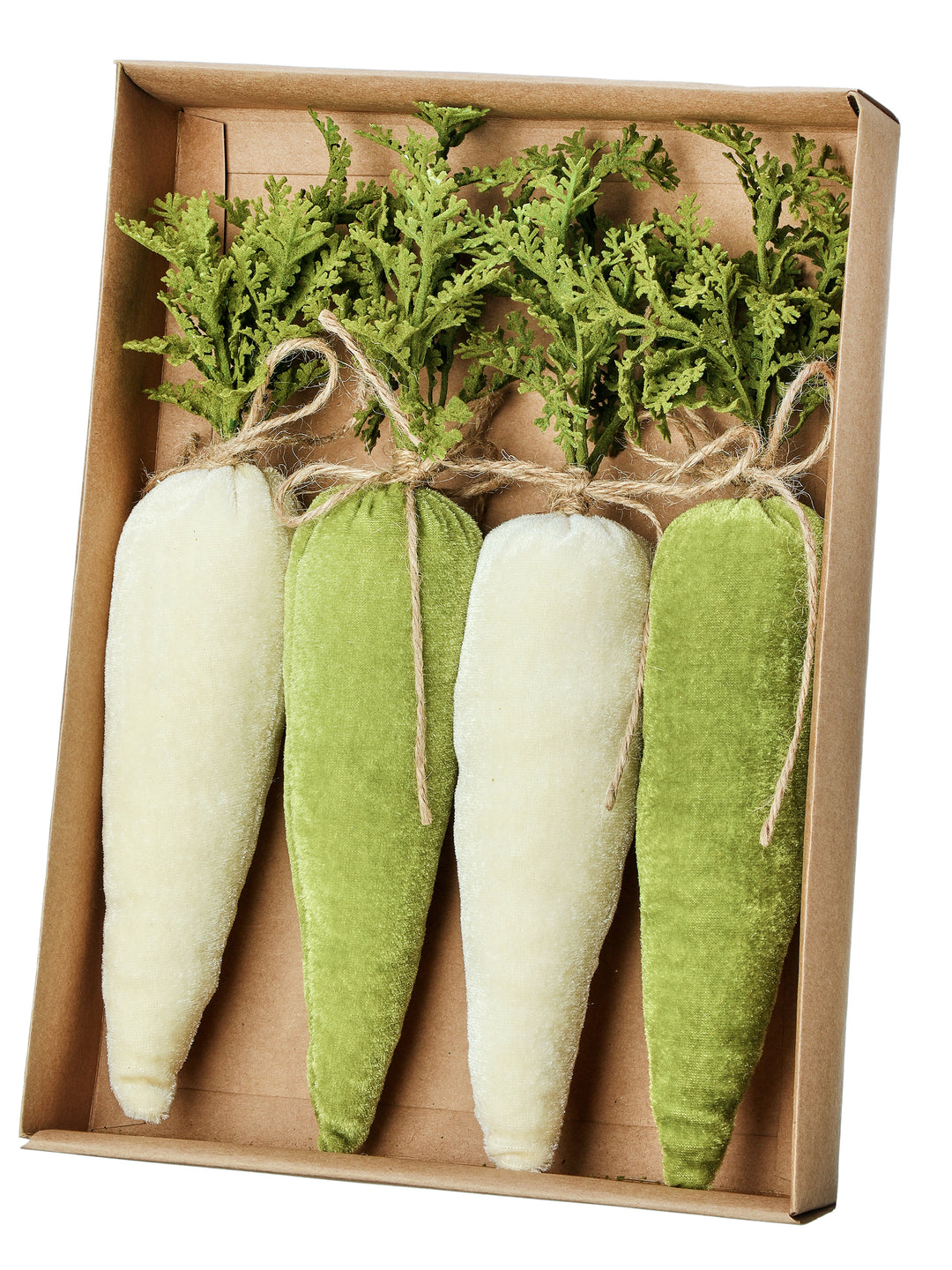 Regency 14" Velvet Carrot in Ivory/Green- Box of 4