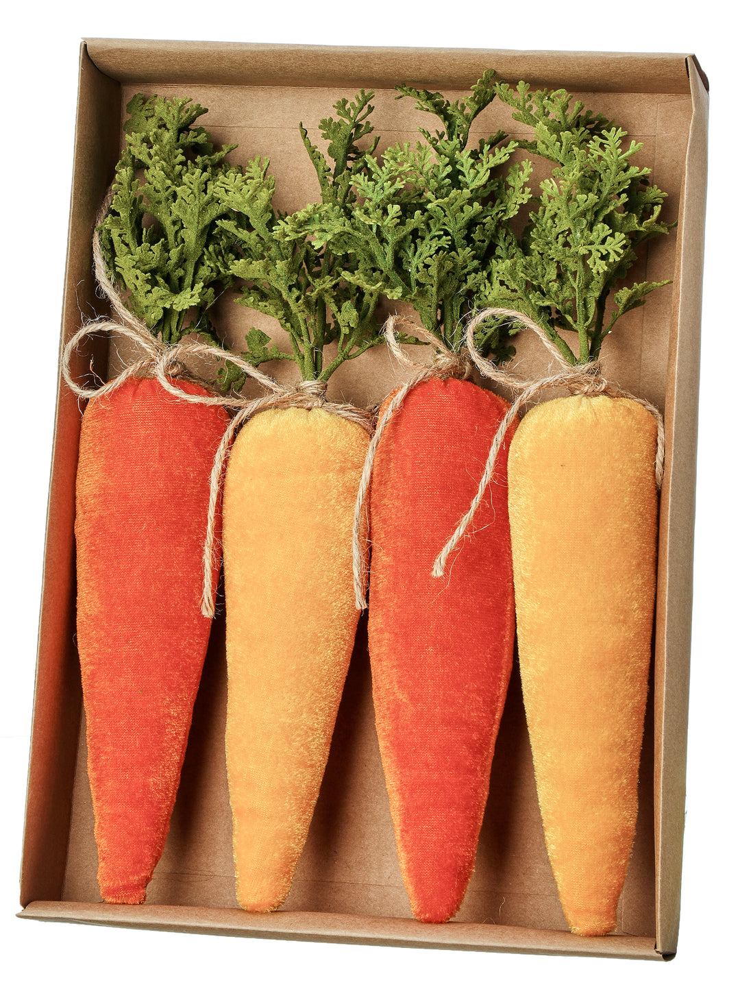 Regency 14" Velvet Carrot in Orange Green- Box of 4