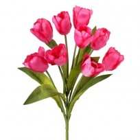 Regency 20" Hot Pink Tulip Bush x 9