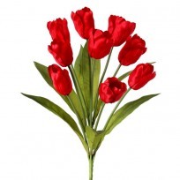 Regency 20" Red Tulip Bush x 9