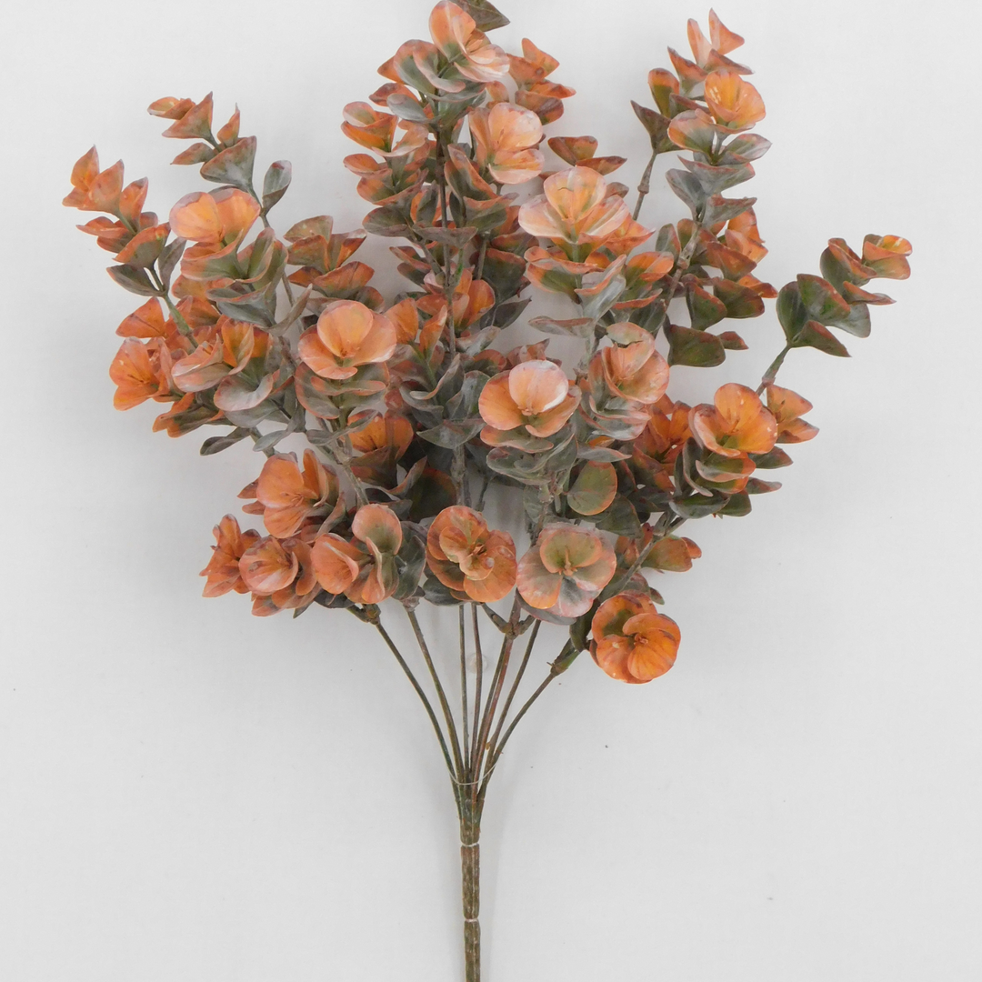20.5" Orange Eucalyptus Bush x 9