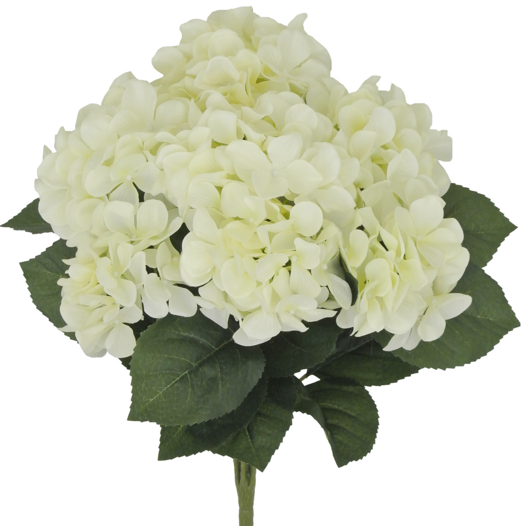 22" Hydrangea Bush x 7 in Cream/white