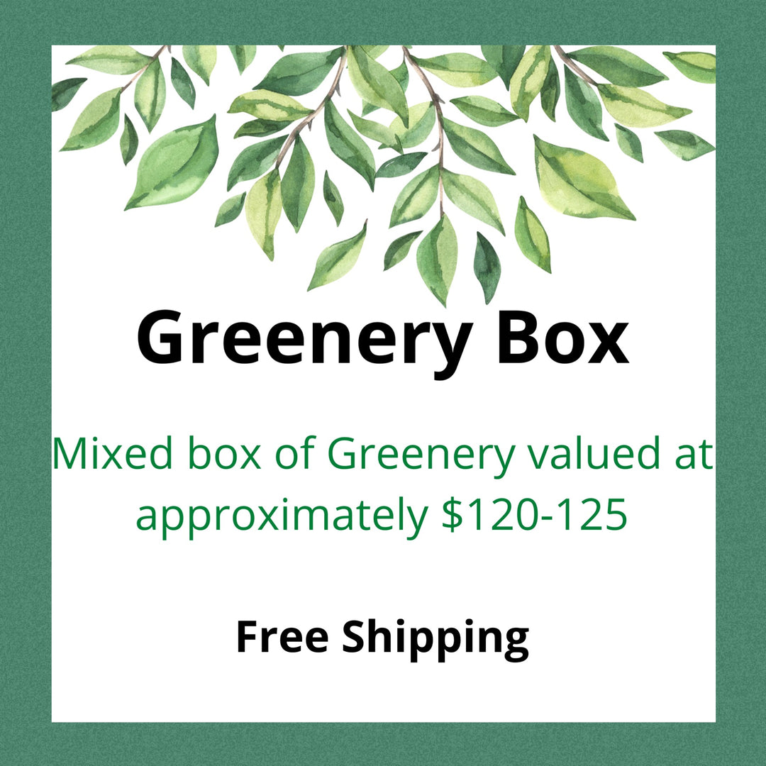 Spring/Summer Greenery Box